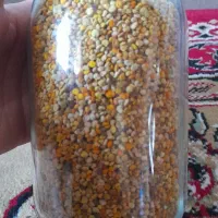گرده زنبور عسل