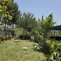 باغبان و سرایدار باغ