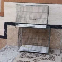 قفس زیر قیمت همه جا