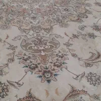 قالی ۱۲متری