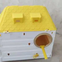 لانه ای عروس هلندی فقط 550