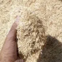 کاه گندم درجه یک