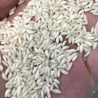 برنج و عسل دورود لرستان