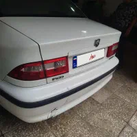 سمند سفید