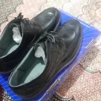 دوعدد کفش پاما سایز ۴۵