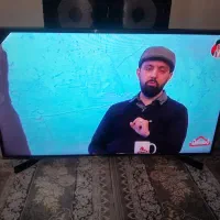 الیدی ۴۳ هایسنس