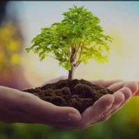 ترک اعتیاد در منزل تضمینی