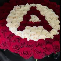 گل روبانی