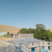 فروش باغ و دامداری