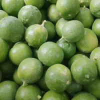 لیموترش تازه سرباز رسید.
