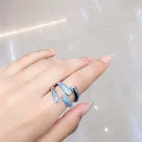 بدلیجات