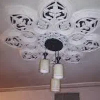 دوعددلوستر سه  شاخه ودوعدد تک شاخه