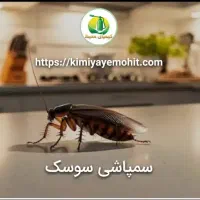 سمپاشی شرکتی و تضمینی سوسک ساس کنه کک(سم پاشی)