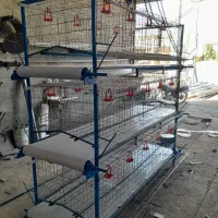 فروش قفس منبری و اتوماتیک