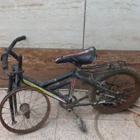 تنه دوچرخه