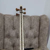تار حرفه ای