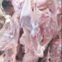 اسکلت مرغ