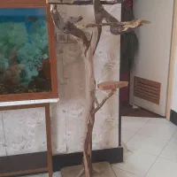 پایه چوبی پرنده
