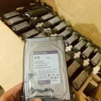 Western Digital Purple Internal Hard Disk 8TB