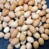 تخم مرغ محلی