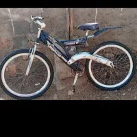دوچرخه حرفه ای