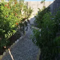 باغچه با جواز