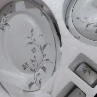 سرویس چینی۵۴ پارچه مقصود