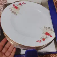 پلوخوری خورشت خوری میوه خوری وپیاله چینی پلمپ زرین