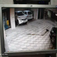 دوربین پلاک خوان دیددر شب رنگی و دزدگیر
