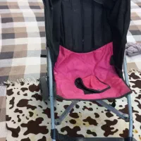 کالسکه عصایی