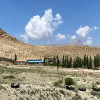 دامداری