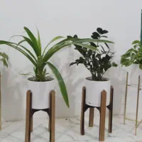 گل وگلدان و پایه