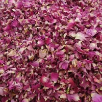 پر گل محمدی خشک