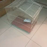 قفس گنجشک