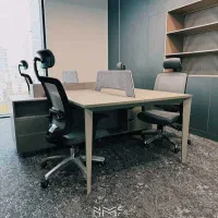 دستیار ویژه و منشی مدیر عامل