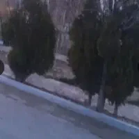 باغشهر فروشی کوهمره سرخی