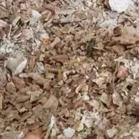 نون خشک خریدار هستیم