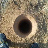 کندن چاله وامور باغبانی حرص انواع درخت