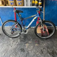 دوچرخه