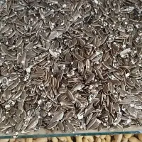 تخمه کانادایی مخصوص روز بازار (جمعه بازار)