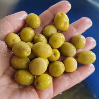نیازمند فروشنده آقا