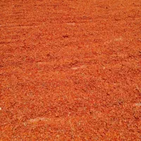 تفاله خشک گوجه