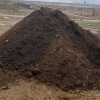 کود گوسفندی وگاوی
