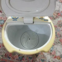 مینی واش مارک هایلی