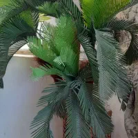 درختچه نخل مصنوعی