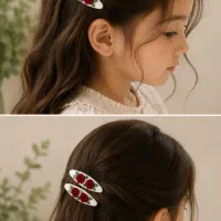 گیره تق تقی و کش پیکسلی گلدوزی شده