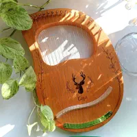 چنگ رومی