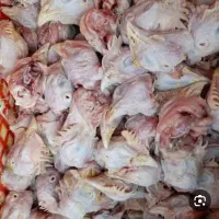 ضایعات فروشی مرغ