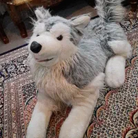 عروسک سگ|اسباببازی|تهران, شهرآرا|دیوار