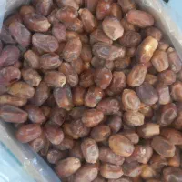 خرما زاهدی درشت